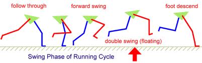 Running swing phase