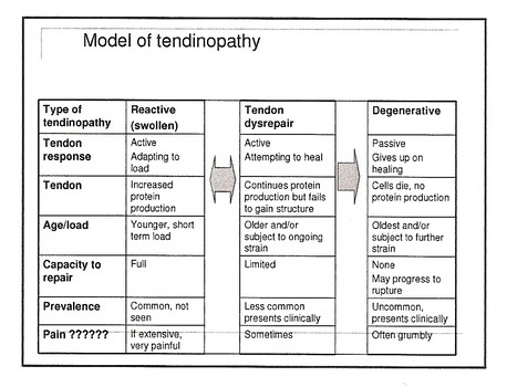 Model of tendonopathy